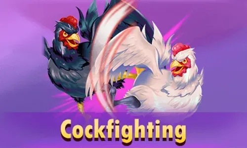 Cock Fighting